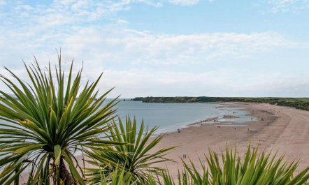 2 Bed in Tenby