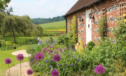 1 Bed in Blandford Forum