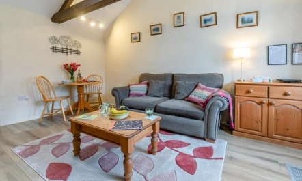 1 Bed in Camborne 4