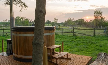 3 Bed in Sturminster Newton 1