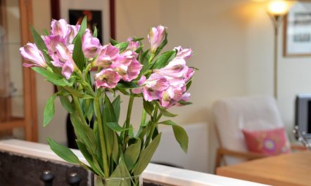 2 Bed in Llwyngwril 6