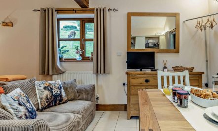 1 Bed in Llangammarch Wells 8