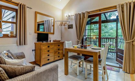 1 Bed in Llangammarch Wells 7