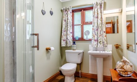 1 Bed in Launceston 8