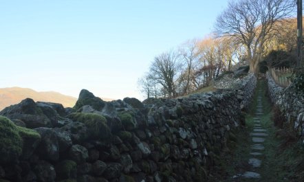 3 Bed in Arthog 2