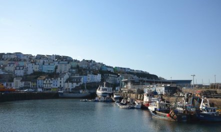 1 Bed in Brixham 9