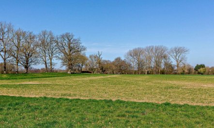 3 Bed in Wymondham 2