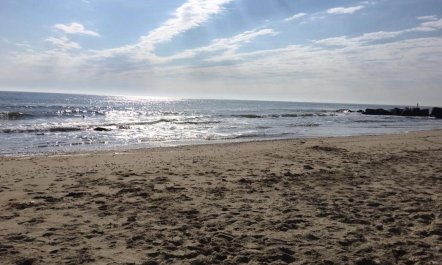 2 Bed in Great Yarmouth 1