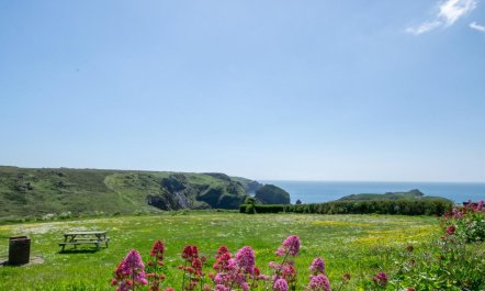 2 Bed in Mullion Cove 1