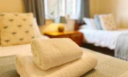 3 Bed in Holsworthy 3