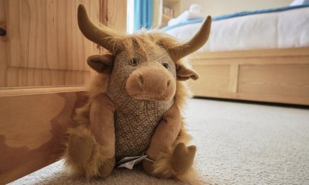 2 Bed in Cockermouth 5