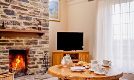 3 Bed in Plymouth 2