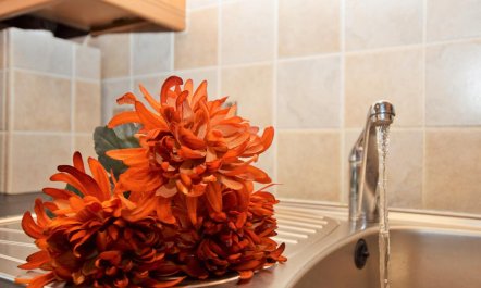 2 Bed in Aberystwyth 3