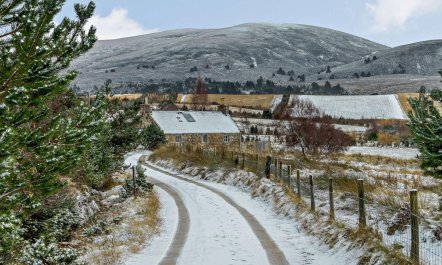 2 Bed in Nethy Bridge