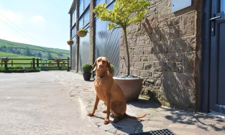 2 Bed in Buxton 2