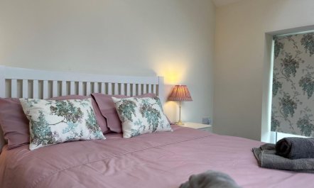 3 Bed in Torrington 6