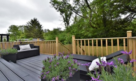 3 Bed in Stepaside 0