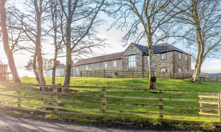 1 Bed in Launceston 1