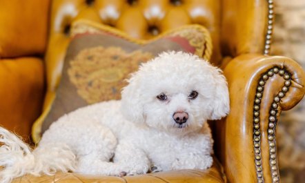 7 Bed in Workington 5