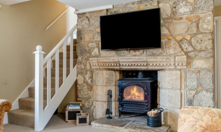 3 Bed in Newport 2