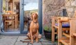 1 Bed in Buxton 8