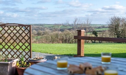 4 Bed in Holsworthy 9