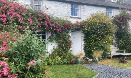 4 Bed in Machynlleth 2