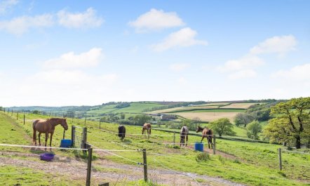 4 Bed in Llangyndeyrn 9