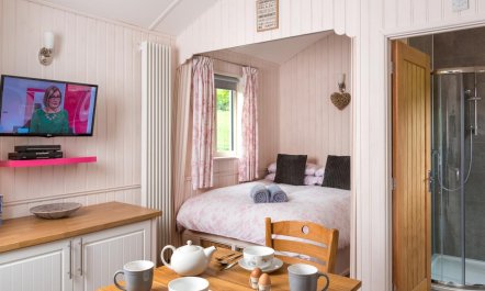 1 Bed in Llangammarch Wells 6