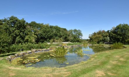 1 Bed in Llangammarch Wells 8