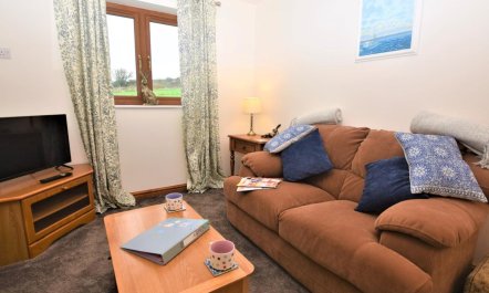 1 Bed in Liskeard 6