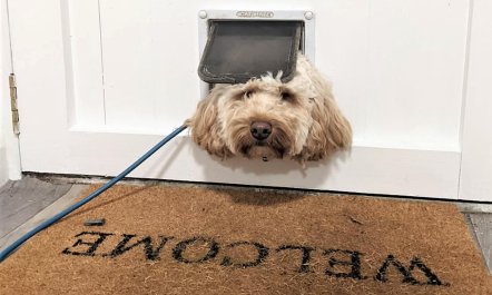 2 Bed in Cockermouth 1