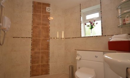 1 Bed in Newton Abbot 5