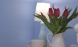 3 Bed in Welshpool 4