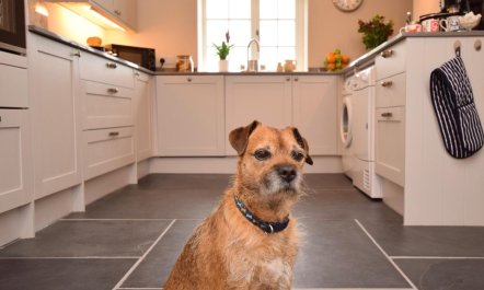 4 Bed in Barnstaple 4