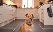 4 Bed in Barnstaple 4