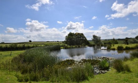 3 Bed in Umberleigh 5