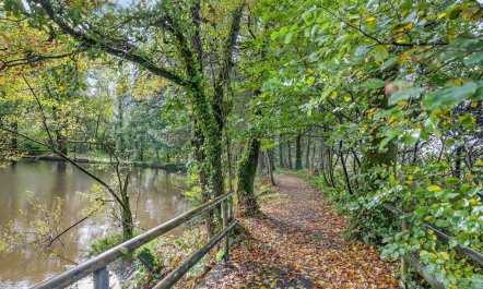 2 Bed in Holsworthy 1