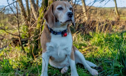 2 Bed in Craven Arms 2