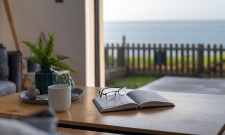 2 Bed in Anstruther 4