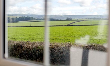 3 Bed in Torrington 8