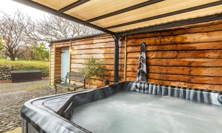 8 Bed in Bideford 6