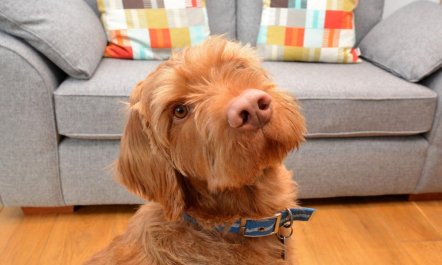 1 Bed in Lyme Regis 5