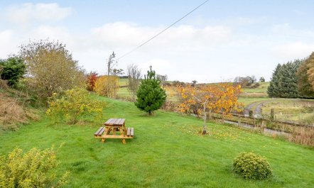 3 Bed in Llandrindod Wells 6