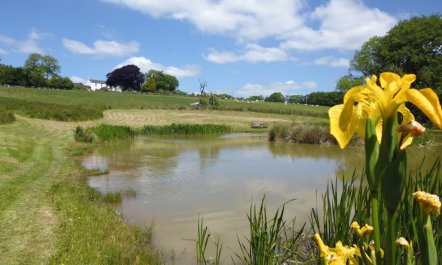 3 Bed in Beaworthy 8