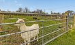 3 Bed in Beaworthy 5
