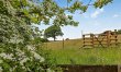 1 Bed in Beaworthy 3