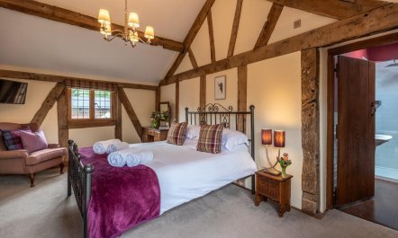 8 Bed in Newtown