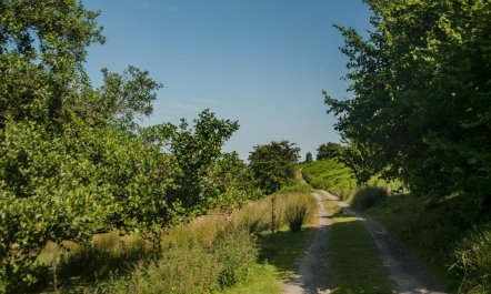 2 Bed in Builth Wells 8