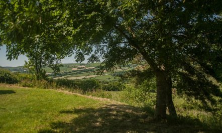 2 Bed in Builth Wells 9